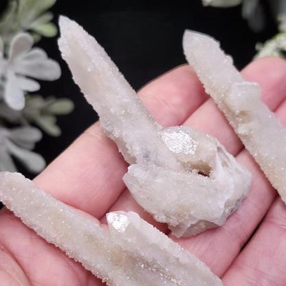 Angel Chiming Cactus Quartz, Cactus Quartz Specimen from South Africa