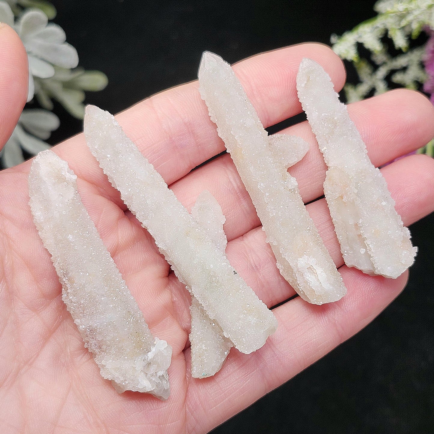 Angel Chiming Cactus Quartz, Cactus Quartz Specimen from South Africa
