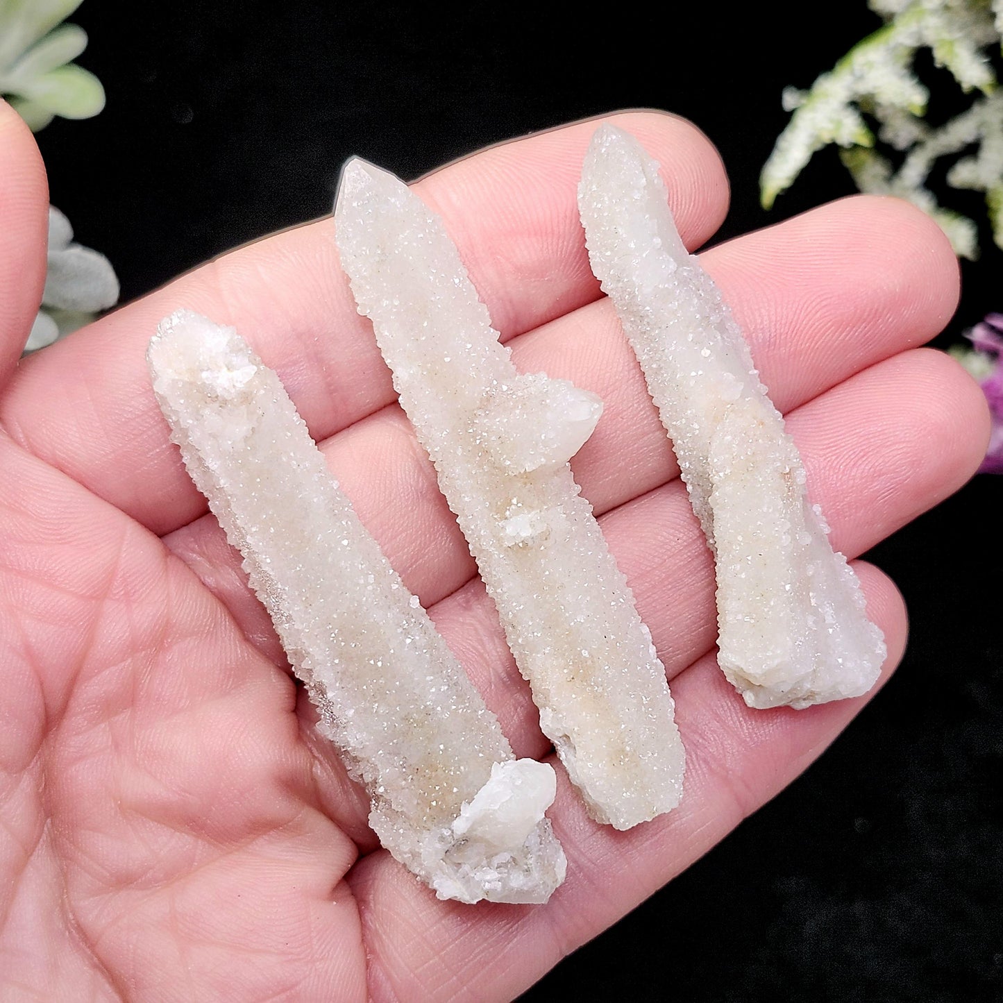 Angel Chiming Cactus Quartz, Cactus Quartz Specimen from South Africa