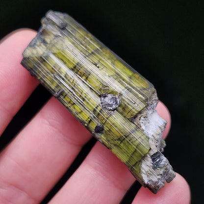 Chrome Green Tourmaline Crystal 20g