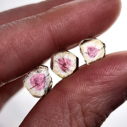 Pink Watermelon Tourmaline Crystal Slice