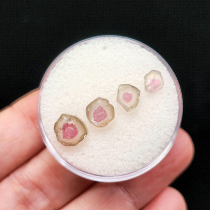 Pink Watermelon Tourmaline Crystal Slice