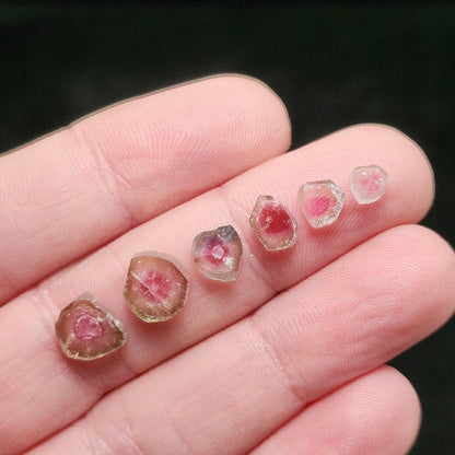 Pink Watermelon Tourmaline Crystal Slice