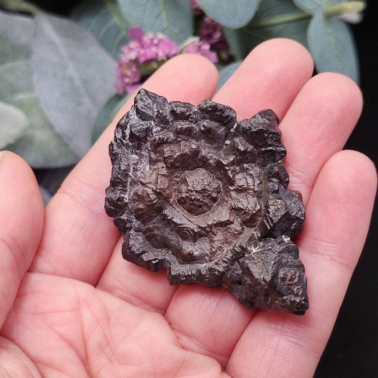 Angel Chime Prophecy Stone 43g