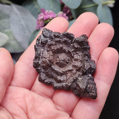 Angel Chime Prophecy Stone 43g