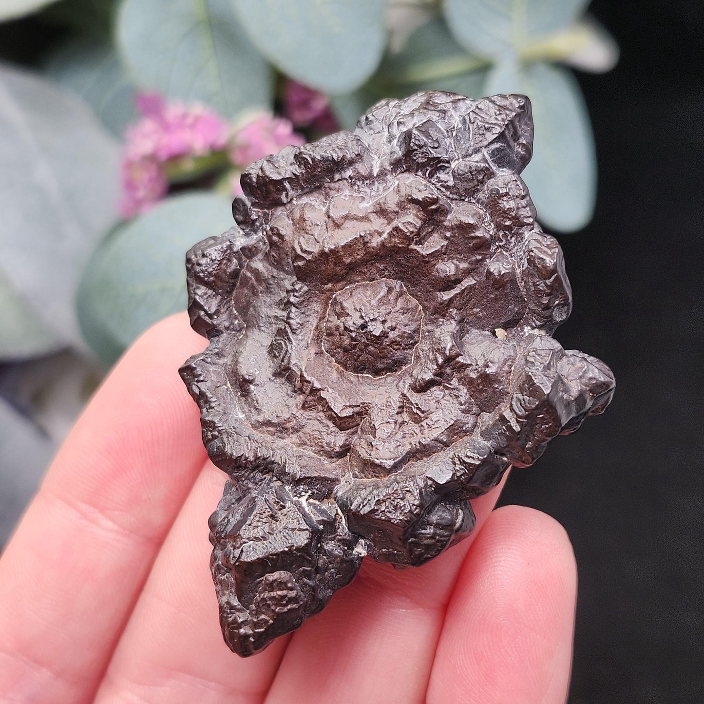 Angel Chime Prophecy Stone 43g