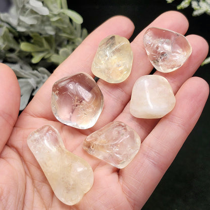 Champagne Citrine Tumbled Stone, Pale Yellow Quartz