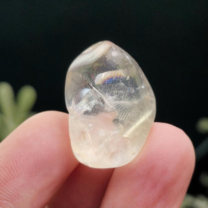 Champagne Citrine Tumbled Stone, Pale Yellow Quartz