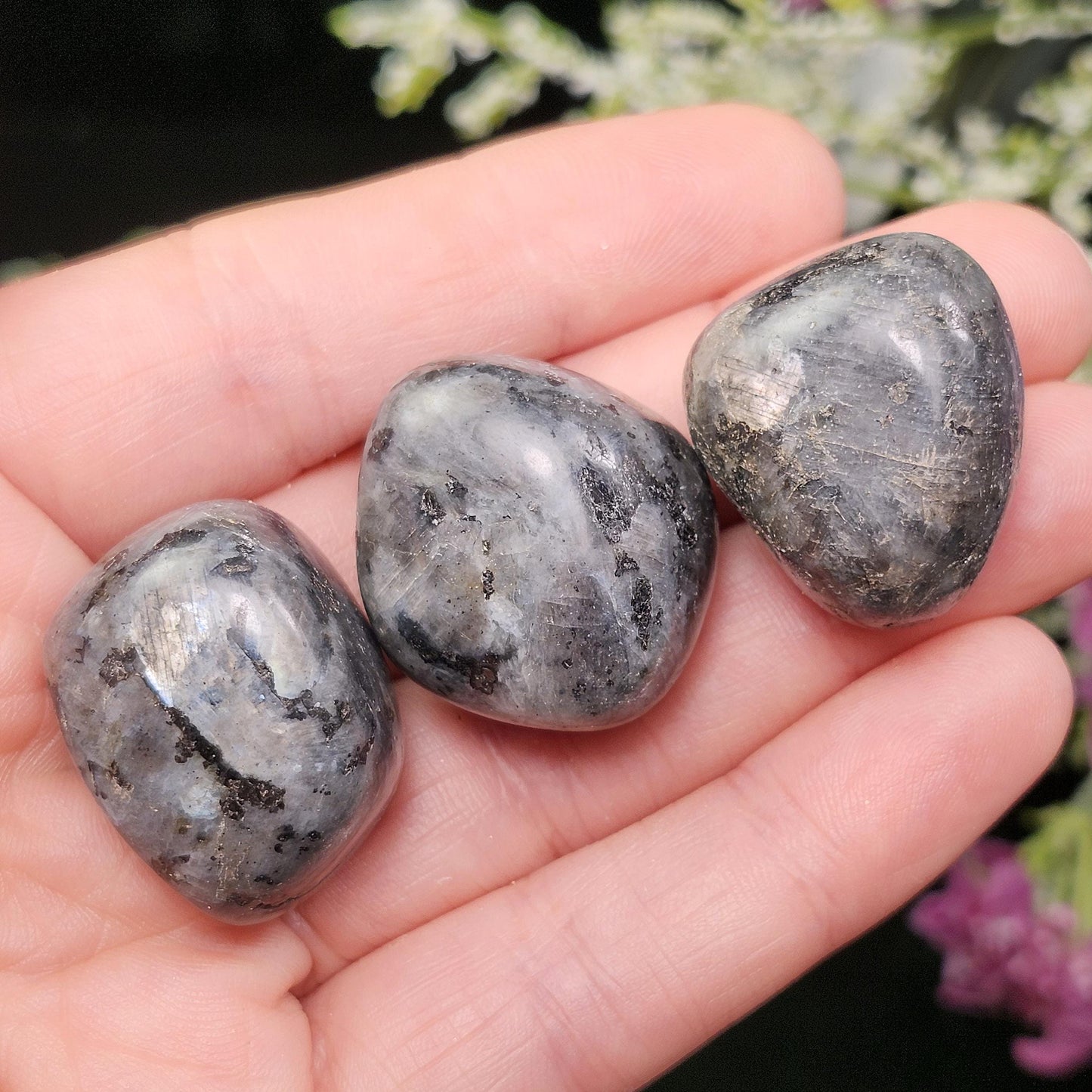 Polished Larvikite Stone, Monzonite Gemstone