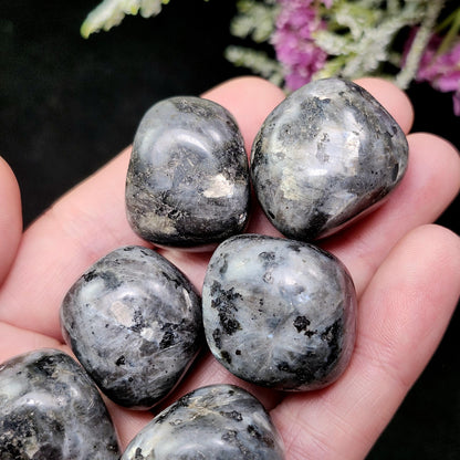 Polished Larvikite Stone, Monzonite Gemstone