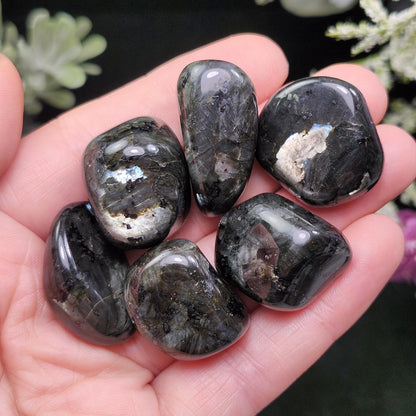 Larvikite Polished Crystal, Monzonite Gemstone