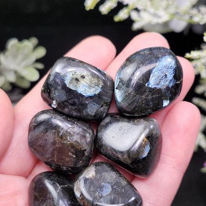 Larvikite Polished Crystal, Monzonite Gemstone