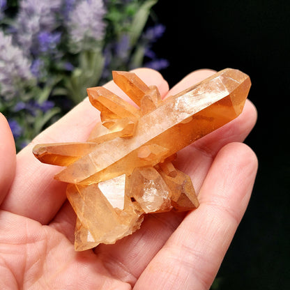 Tangerine Quartz Cluster, Brazilian Hematoid Quartz Stone 40