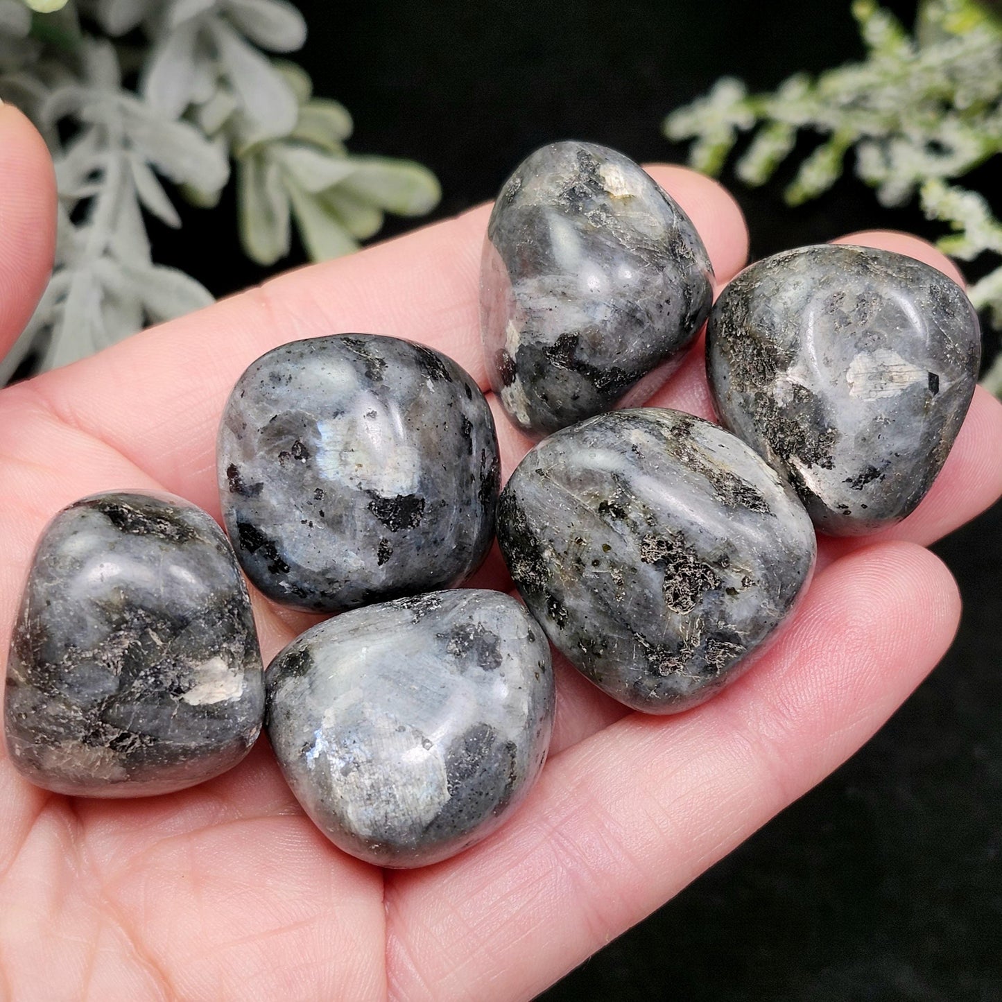 Polished Larvikite Stone, Monzonite Gemstone