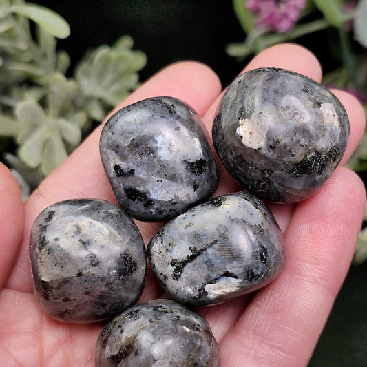 Polished Larvikite Stone, Monzonite Gemstone