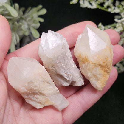 Pineapple Quartz Crystal, Madagascar Quartz Point