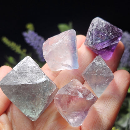 Rainbow Fluorite, Set of 5, OOAK Color Zoned Octahedron Shaped Crystals