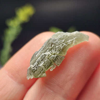 Snowflake Moldavite RARE Specimen (1.3g), Frosted Brusna Moldavite Tektite Crystal