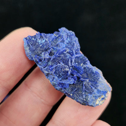 Morenci "Bluebird" Azurite Specimen from Arizona