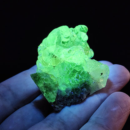UV Reactive Hyalite Opal Specimen: Fluorescent Crystal from Mexico