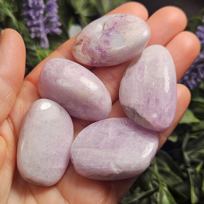 Purple Kunzite Tumbled Crystal, Kunzite Specimen