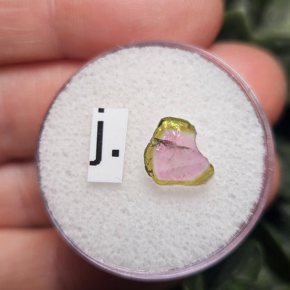 Watermelon Tourmaline Slice, CHOOSE YOUR SLICE!