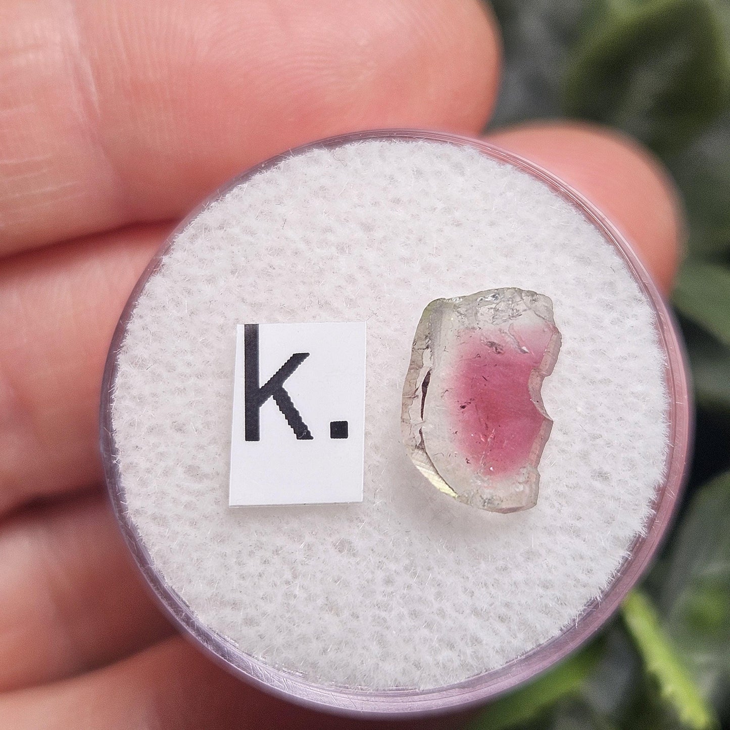 Watermelon Tourmaline Slice, CHOOSE YOUR SLICE!