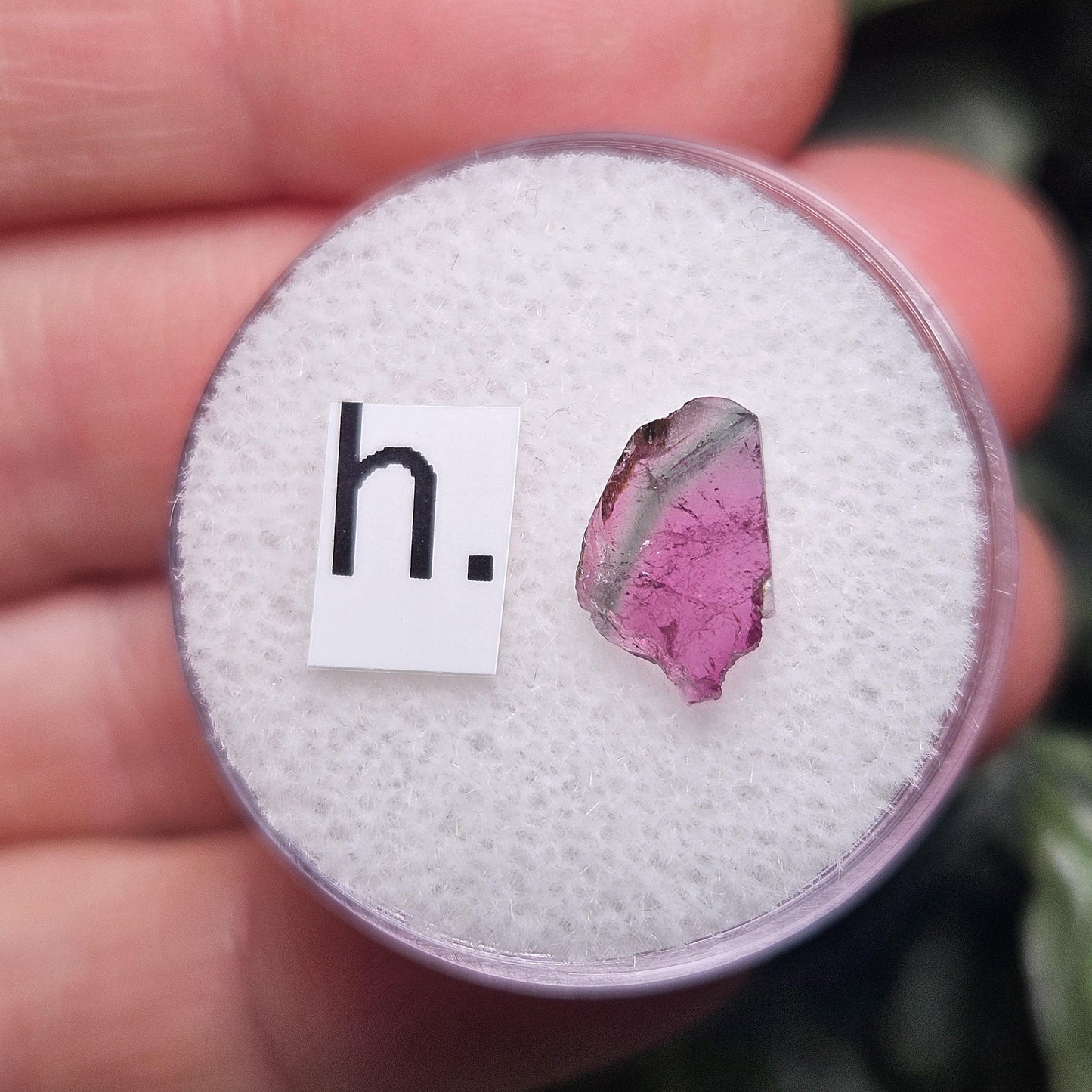 Watermelon Tourmaline Slice, CHOOSE YOUR SLICE!