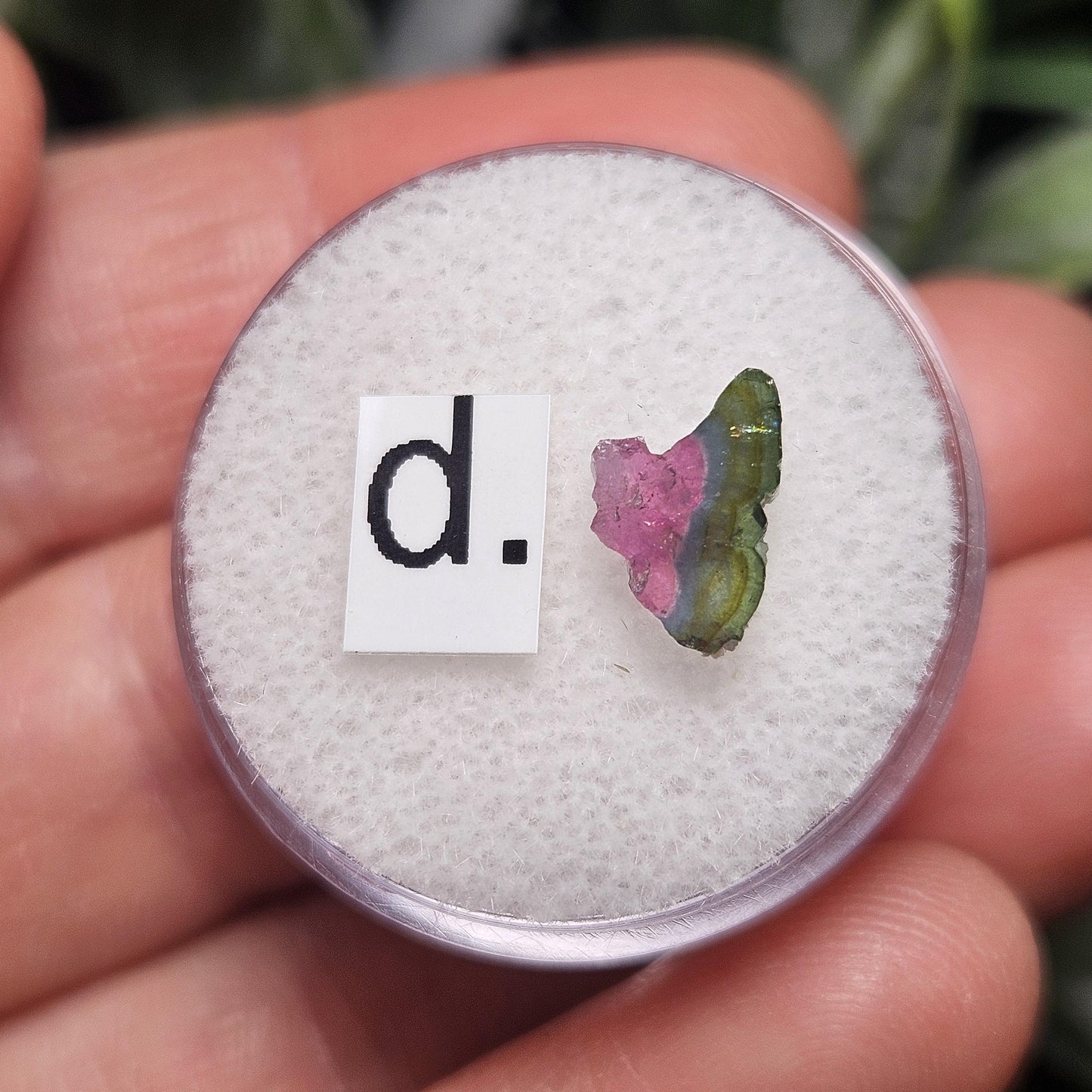 Watermelon Tourmaline Slice, CHOOSE YOUR SLICE!