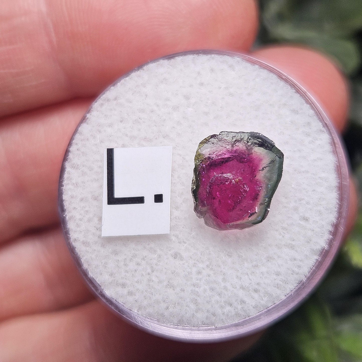 Watermelon Tourmaline Slice, CHOOSE YOUR SLICE!