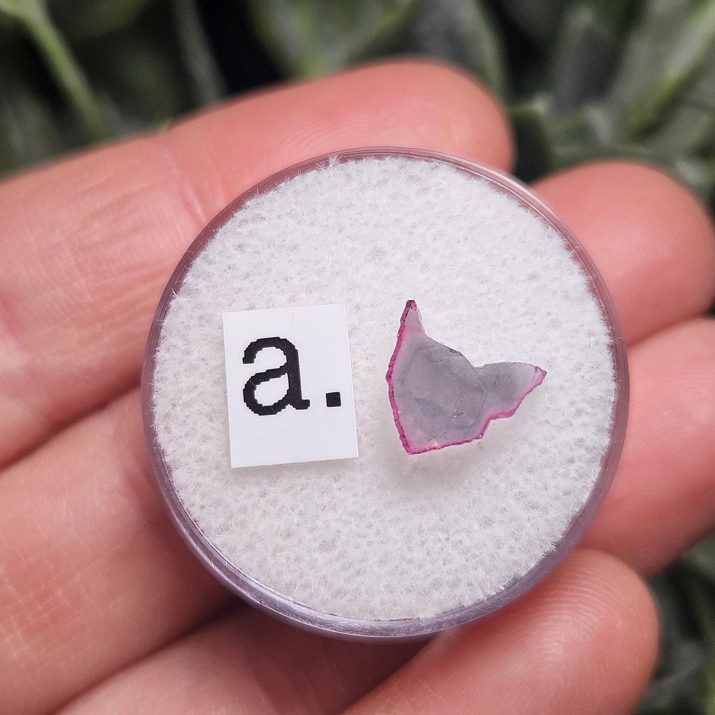 Watermelon Tourmaline Slice, CHOOSE YOUR SLICE!