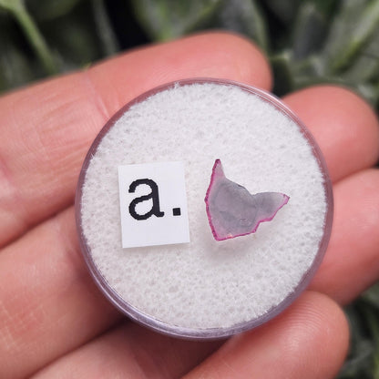 Watermelon Tourmaline Slice, CHOOSE YOUR SLICE!