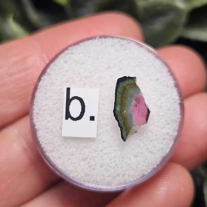 Watermelon Tourmaline Slice, CHOOSE YOUR SLICE!