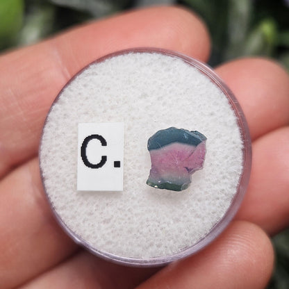 Watermelon Tourmaline Slice, CHOOSE YOUR SLICE!
