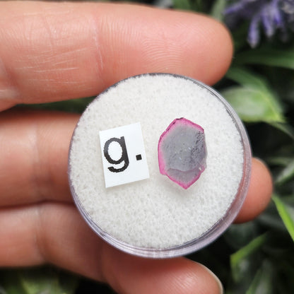 Blue Watermelon Tourmaline Slice, CHOOSE YOUR SLICE!