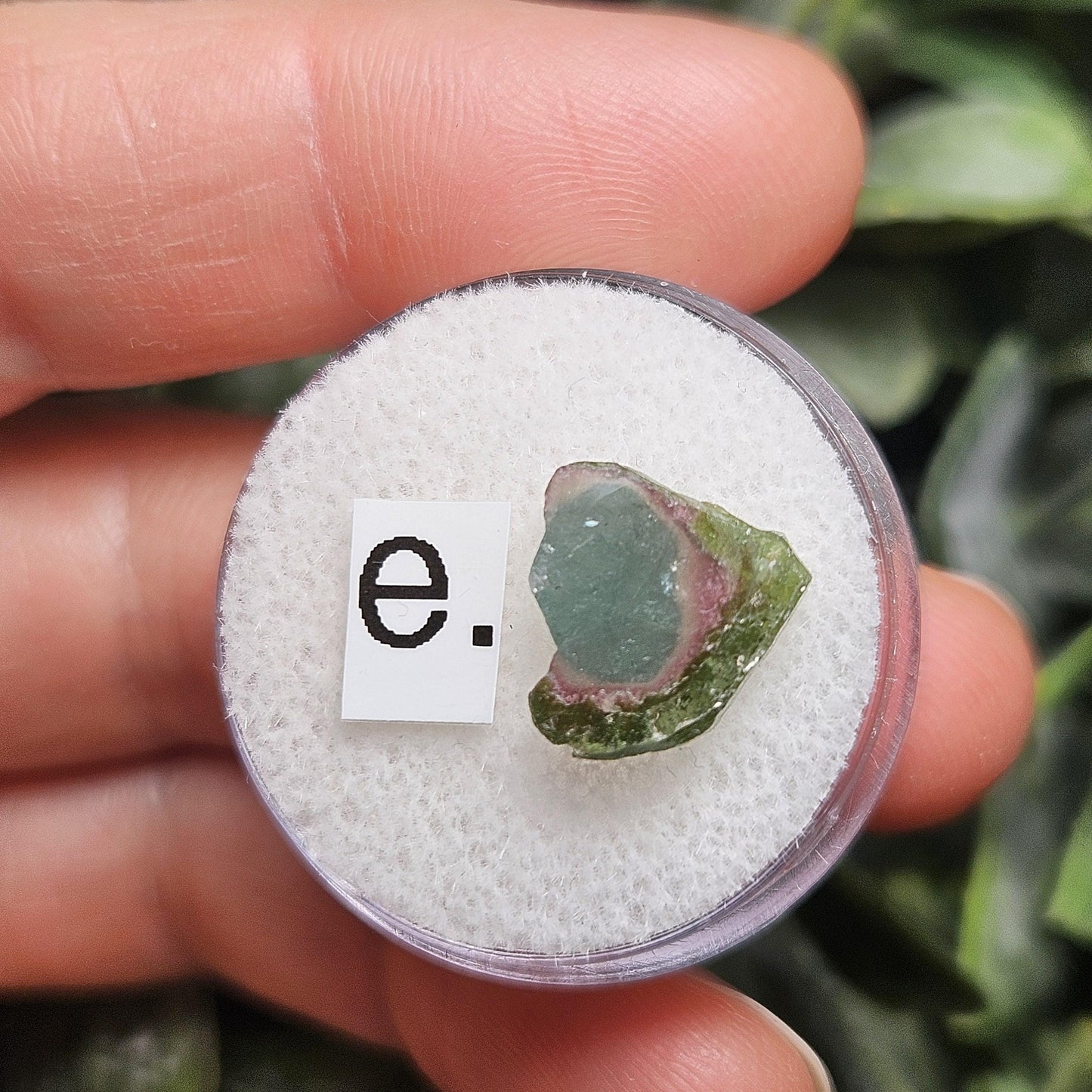 Blue Watermelon Tourmaline Slice, CHOOSE YOUR SLICE!