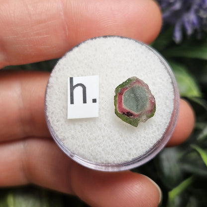 Blue Watermelon Tourmaline Slice, CHOOSE YOUR SLICE!