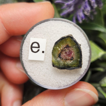 Watermelon Tourmaline Slice 10