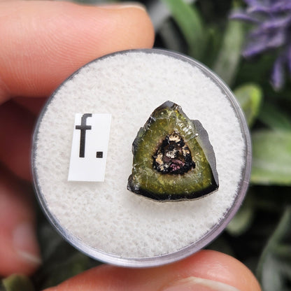 Watermelon Tourmaline Slice 10