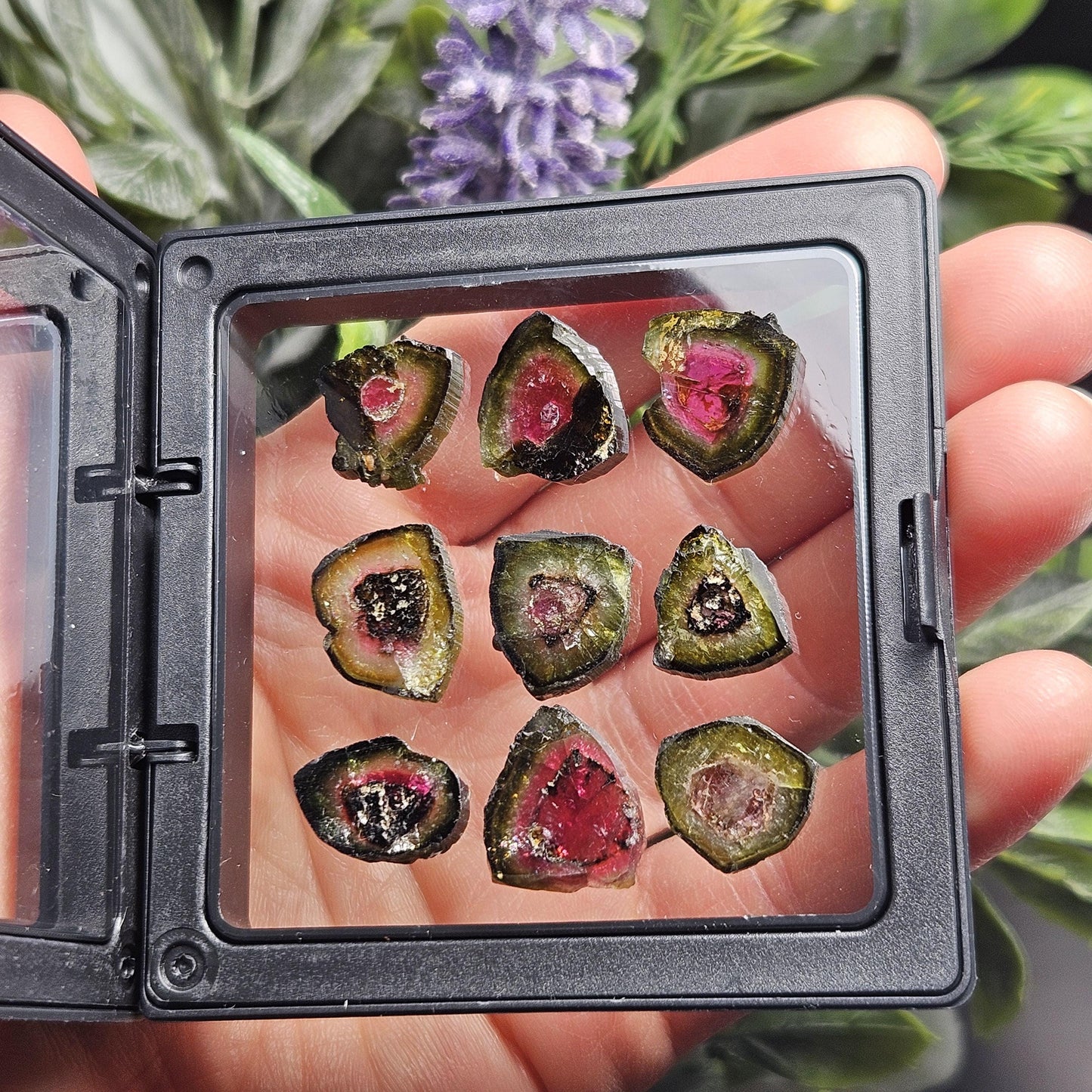 Watermelon Tourmaline Slice 10