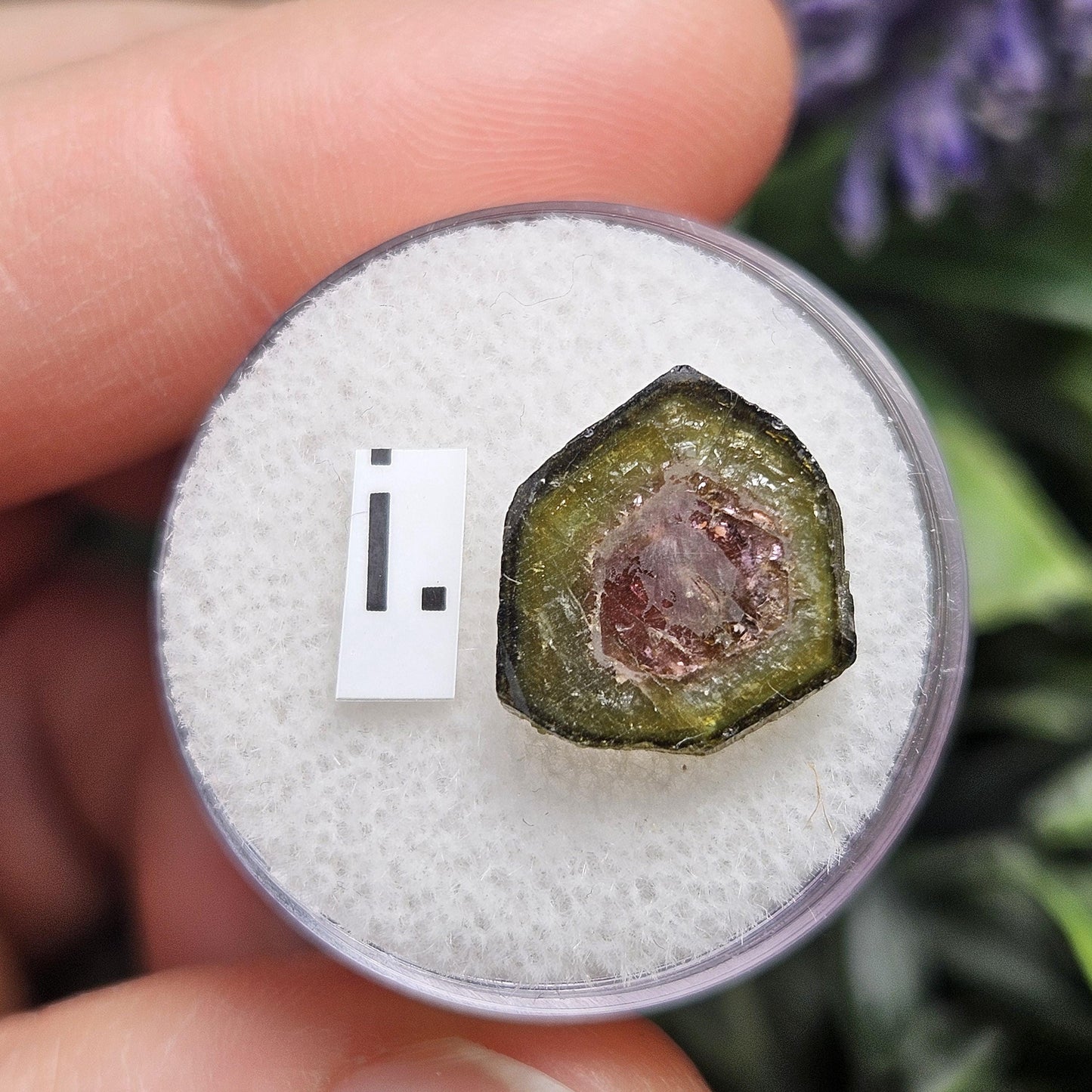 Watermelon Tourmaline Slice 10