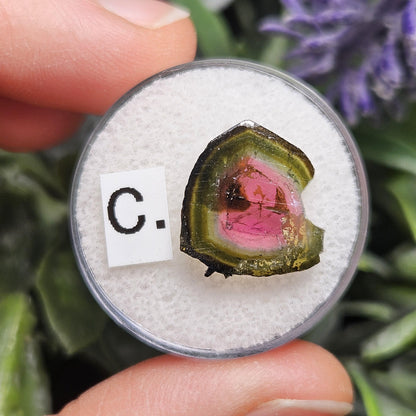 Watermelon Tourmaline Slice 10