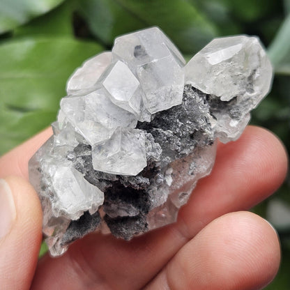 Benz Calcite & Clear Fluorite, 33g Yindu Mine Inner Mongolia Specimen