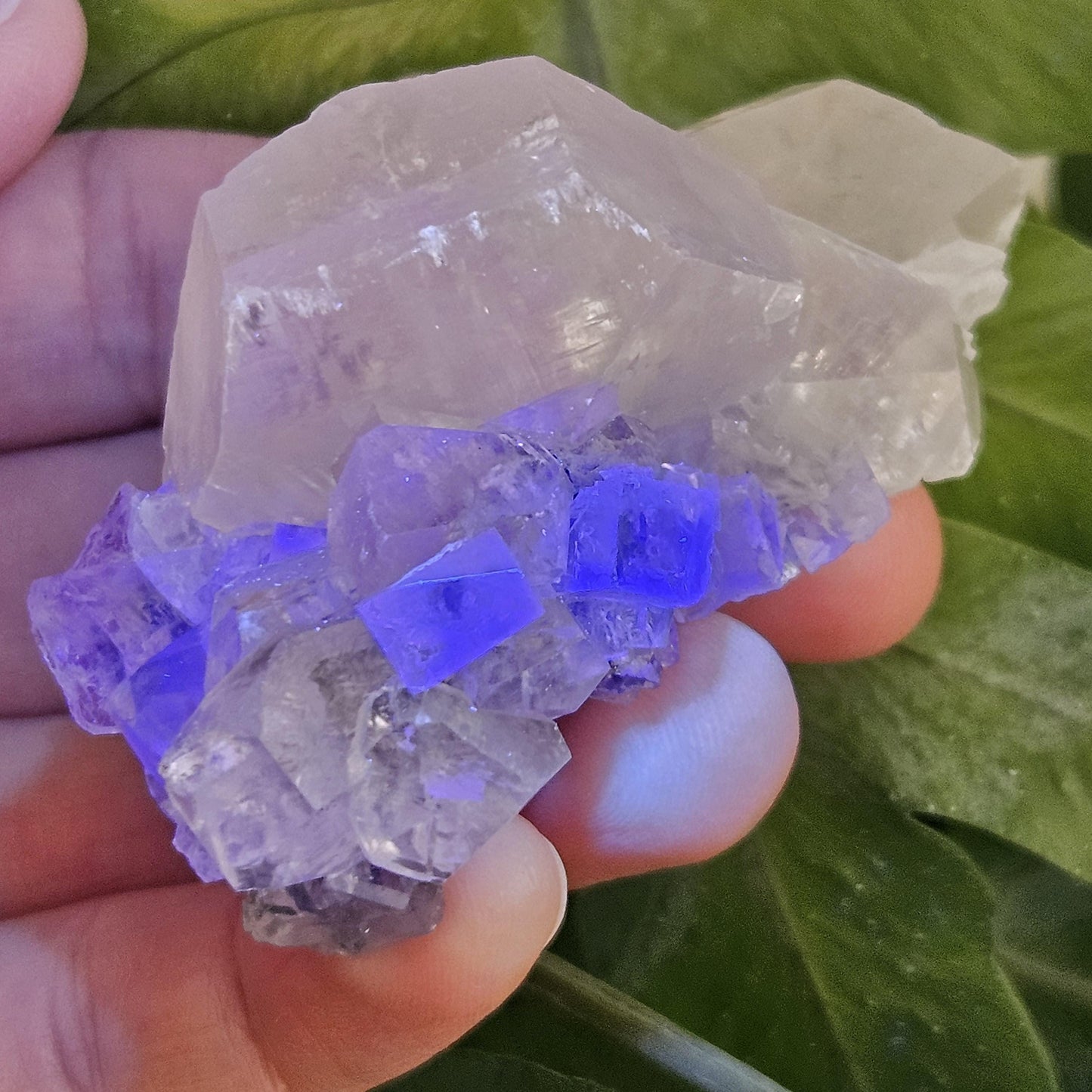 Clear Fluorite on Calcite Cluster, 83g Yindu Mine Inner Mongolia Specimen, UV Reactive