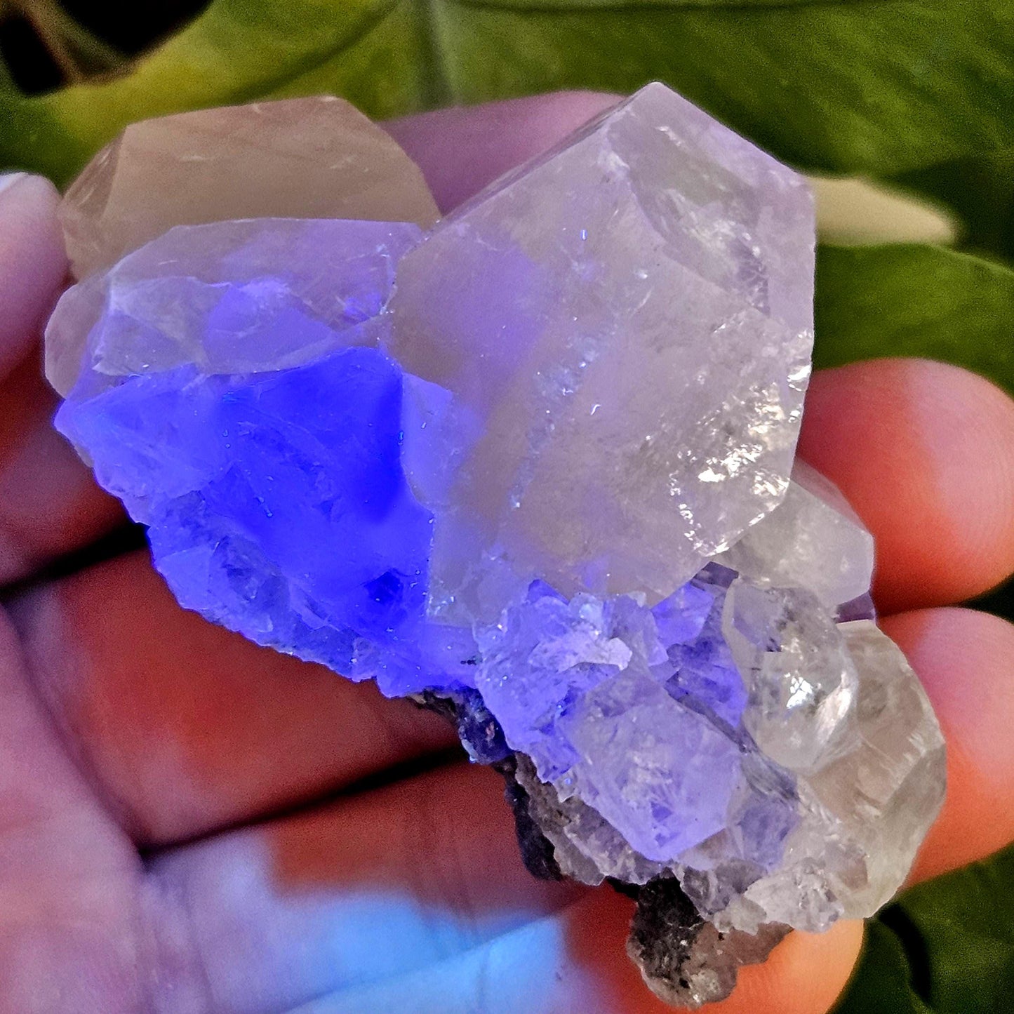 Clear Fluorite on Calcite Cluster, 83g Yindu Mine Inner Mongolia Specimen, UV Reactive