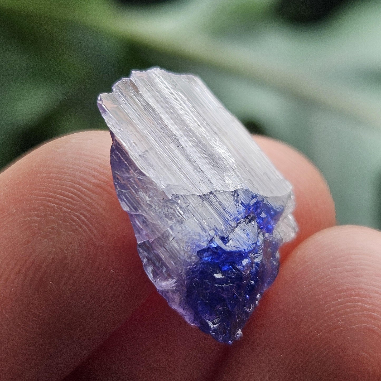 Terminated Bicolor Tanzanite Crystal 1.81g, Raw Tanzanian Specimen