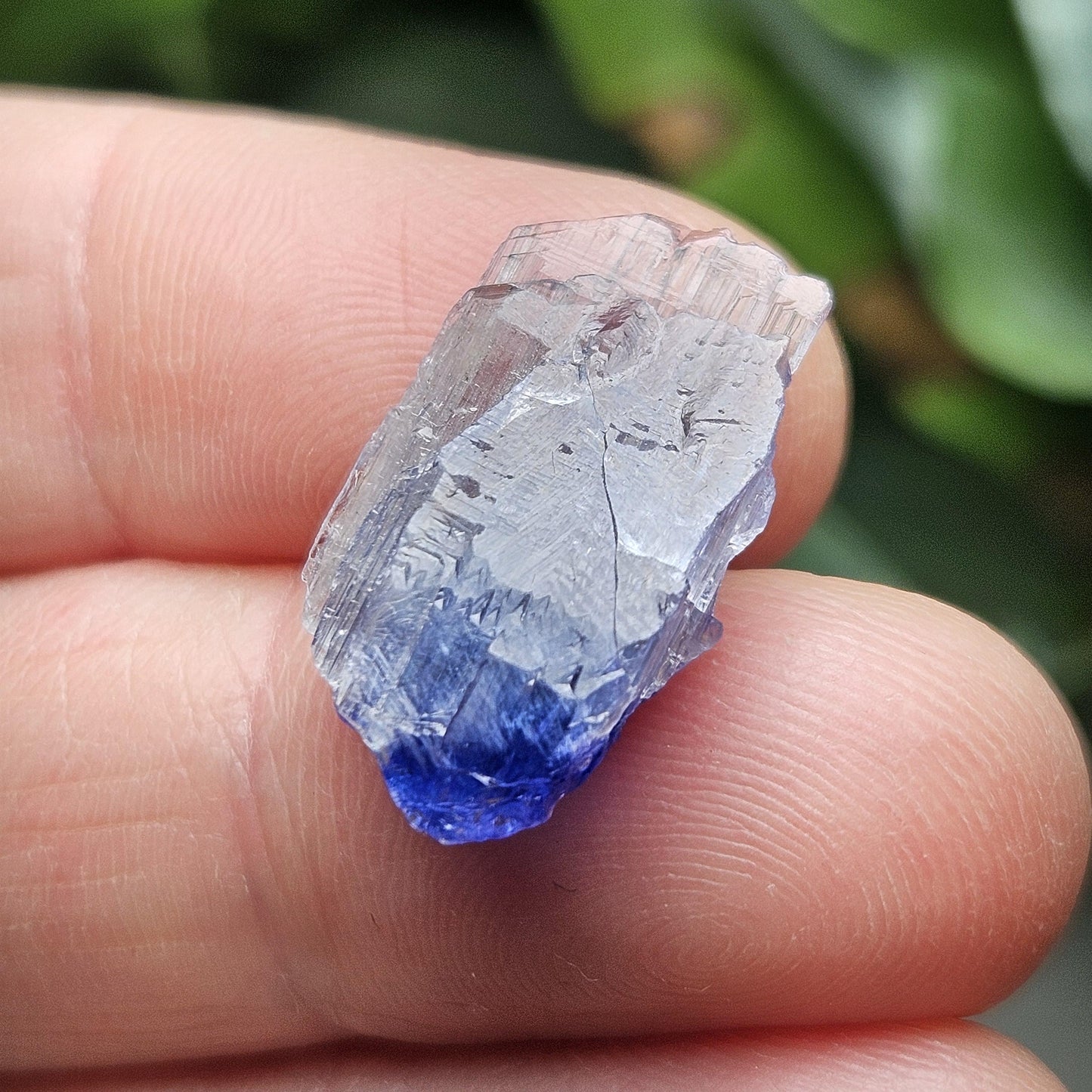 Terminated Bicolor Tanzanite Crystal 1.81g, Raw Tanzanian Specimen