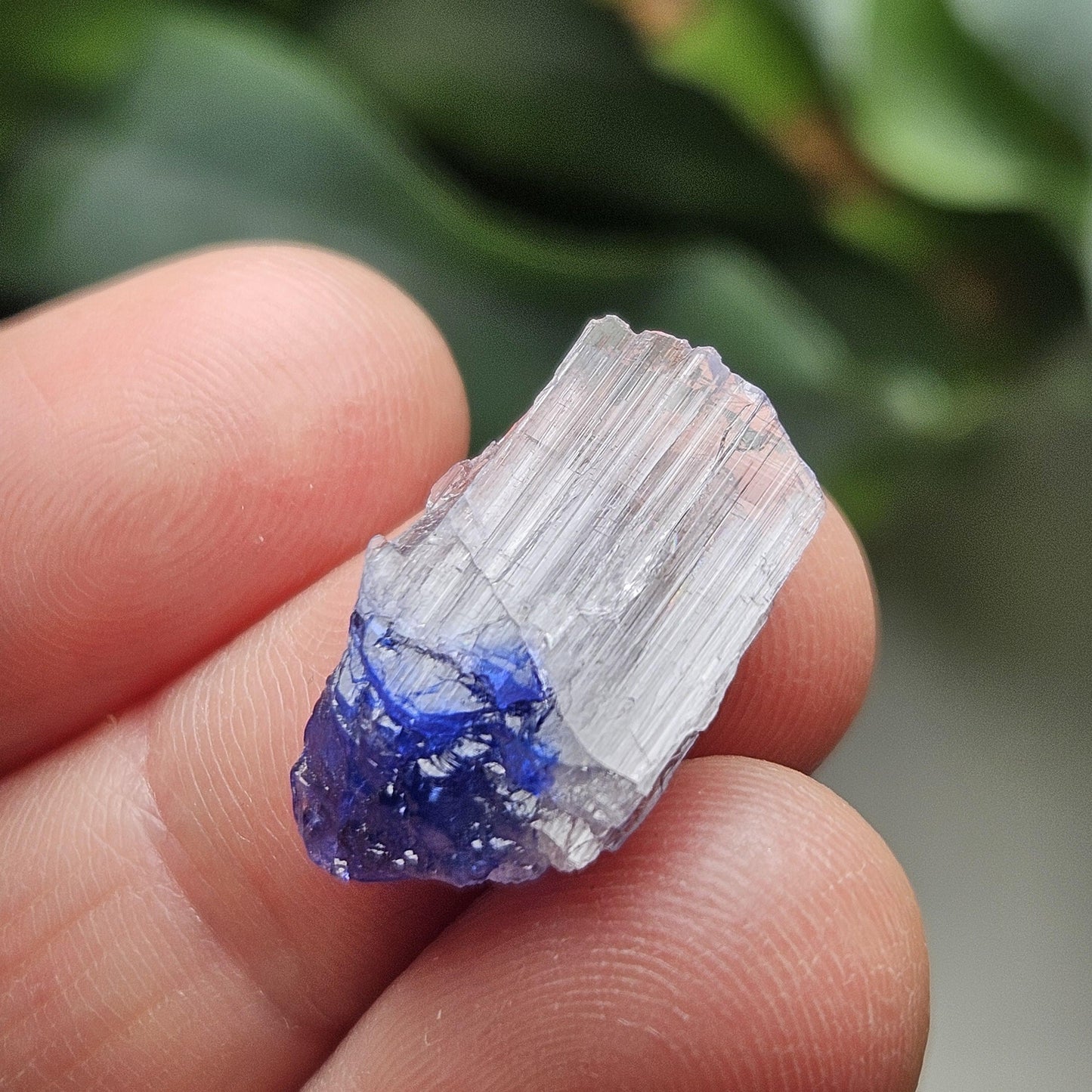 Terminated Bicolor Tanzanite Crystal 1.81g, Raw Tanzanian Specimen
