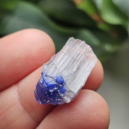 Terminated Bicolor Tanzanite Crystal 1.81g, Raw Tanzanian Specimen
