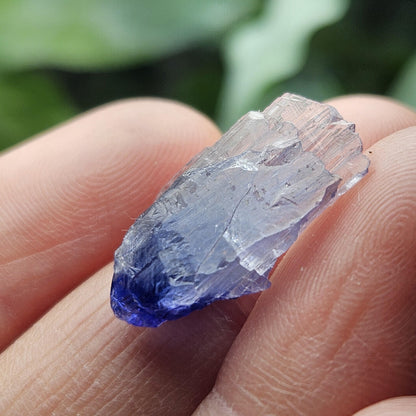 Terminated Bicolor Tanzanite Crystal 1.81g, Raw Tanzanian Specimen